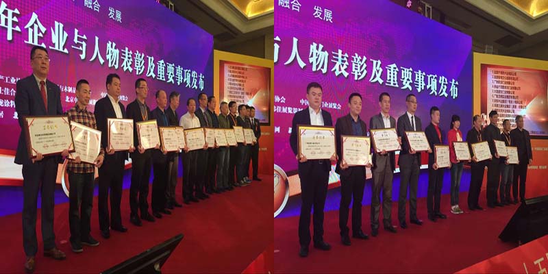 中国木门十五年功勋企业-行业推动奖
