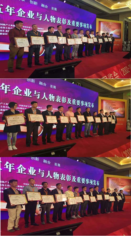 中国木门十五年功勋企业-杰出贡献奖