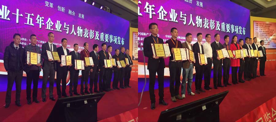 中国木门十五年功勋人物-杰出贡献奖